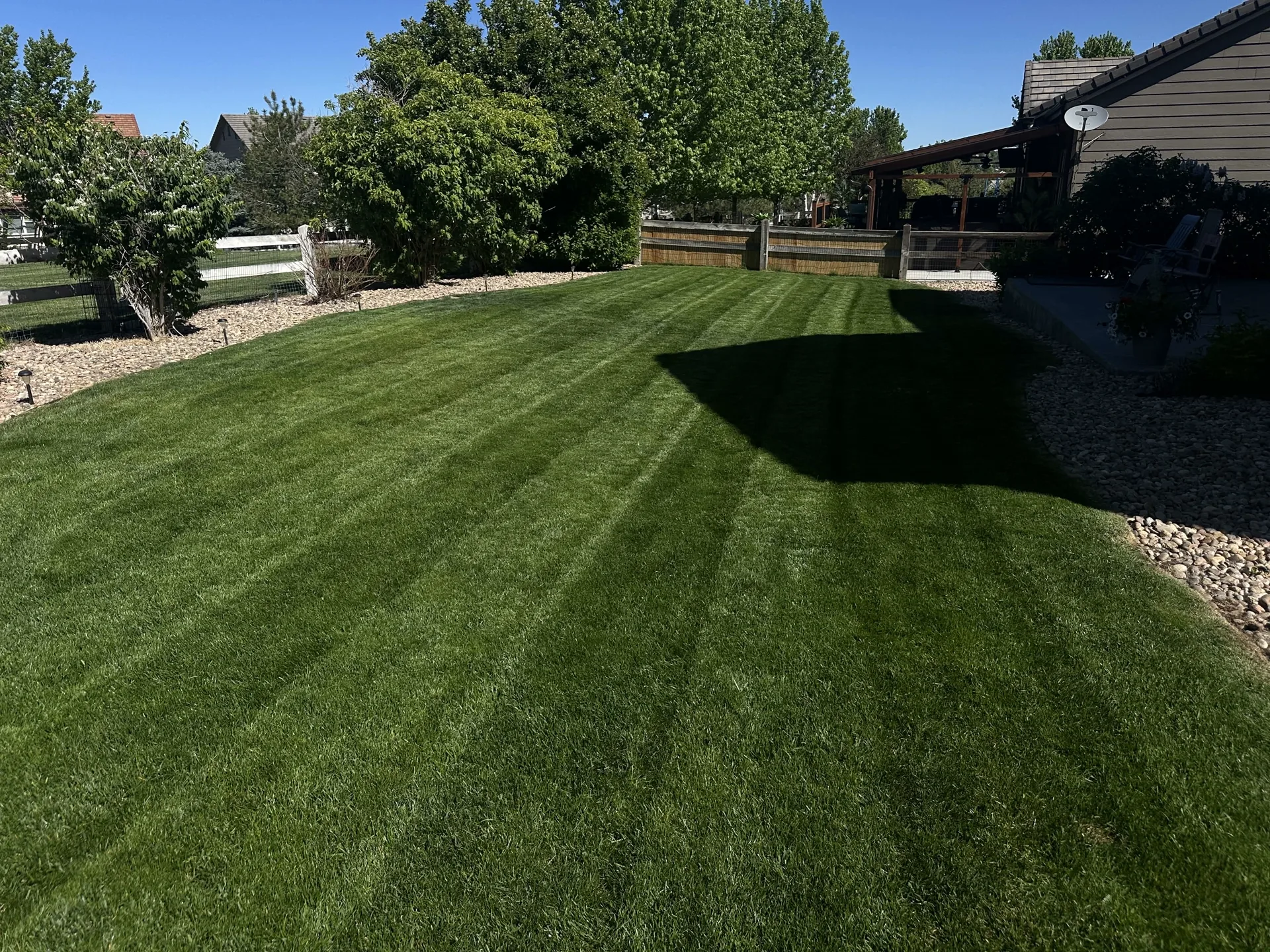 When Should You Aerate Your Lawn in Colorado?