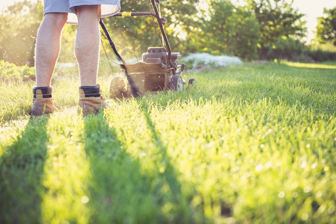 How Often Should You Mow Your Lawn in Denver and Aurora