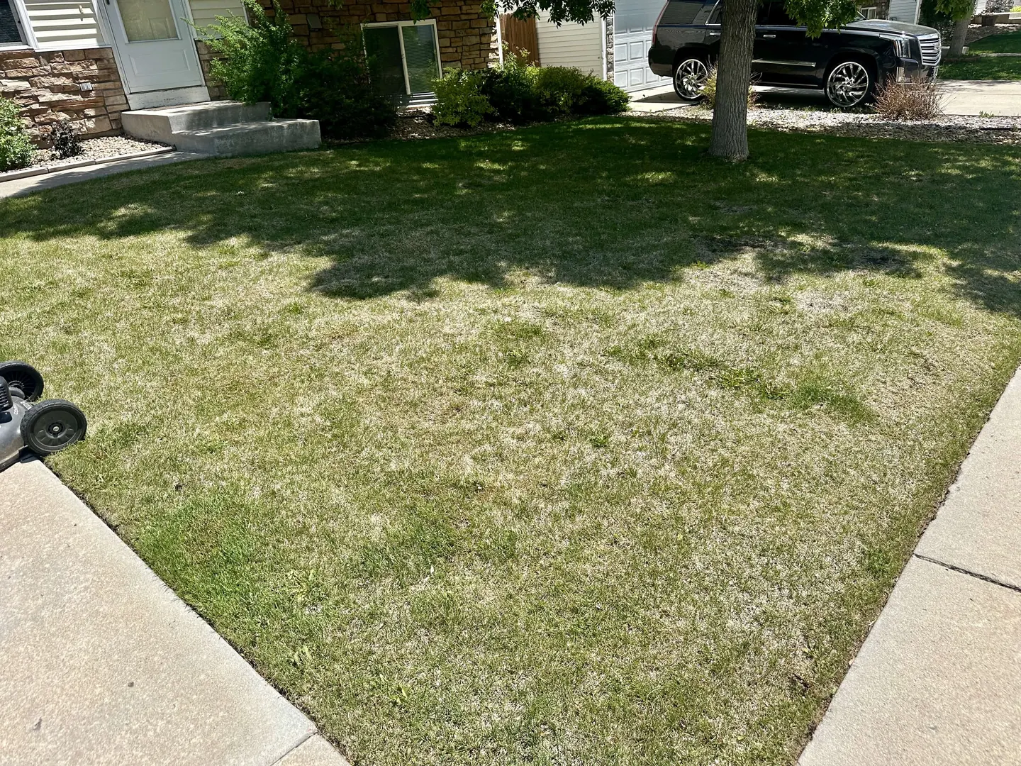 Power Raking vs Dethatching in Colorado: Which One Does Your Lawn Need?