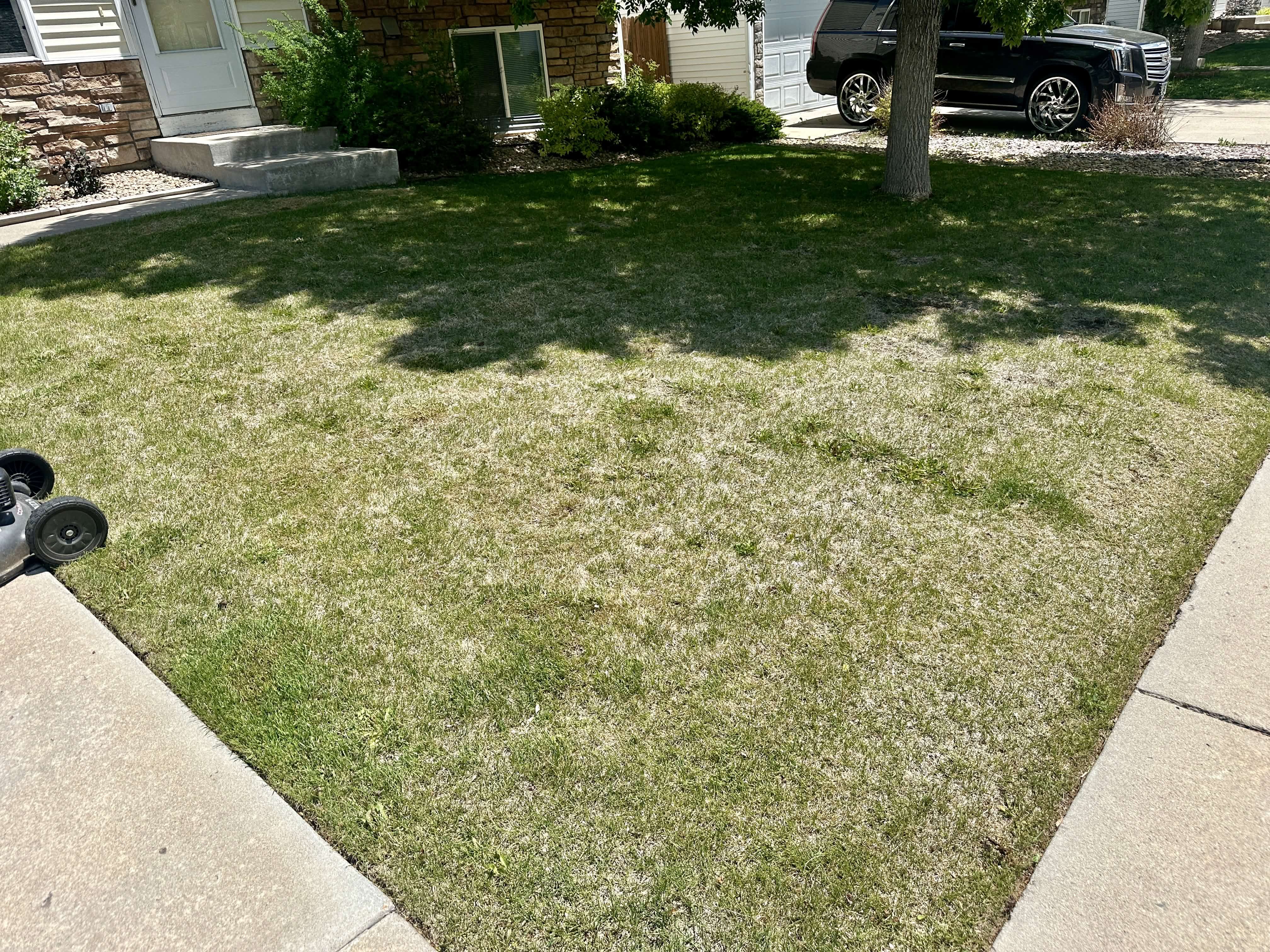 Power Raking vs Dethatching in Colorado: Which One Does Your Lawn Need?