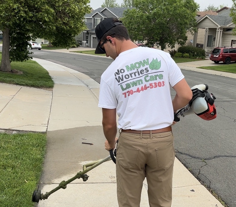 Spring Cleanup Lawn Care in Aurora: Why It Makes or Breaks Your Summer