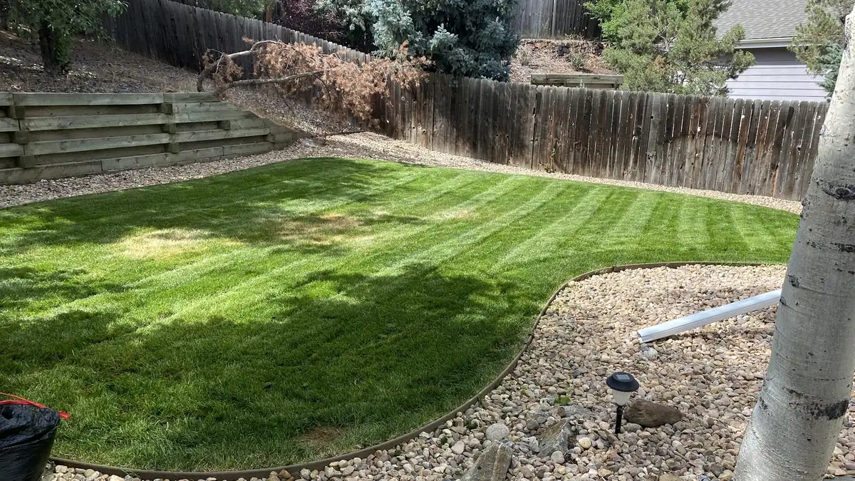 Freshly mowed backyard lawn with a rock border at an Aurora, Colorado home in late October