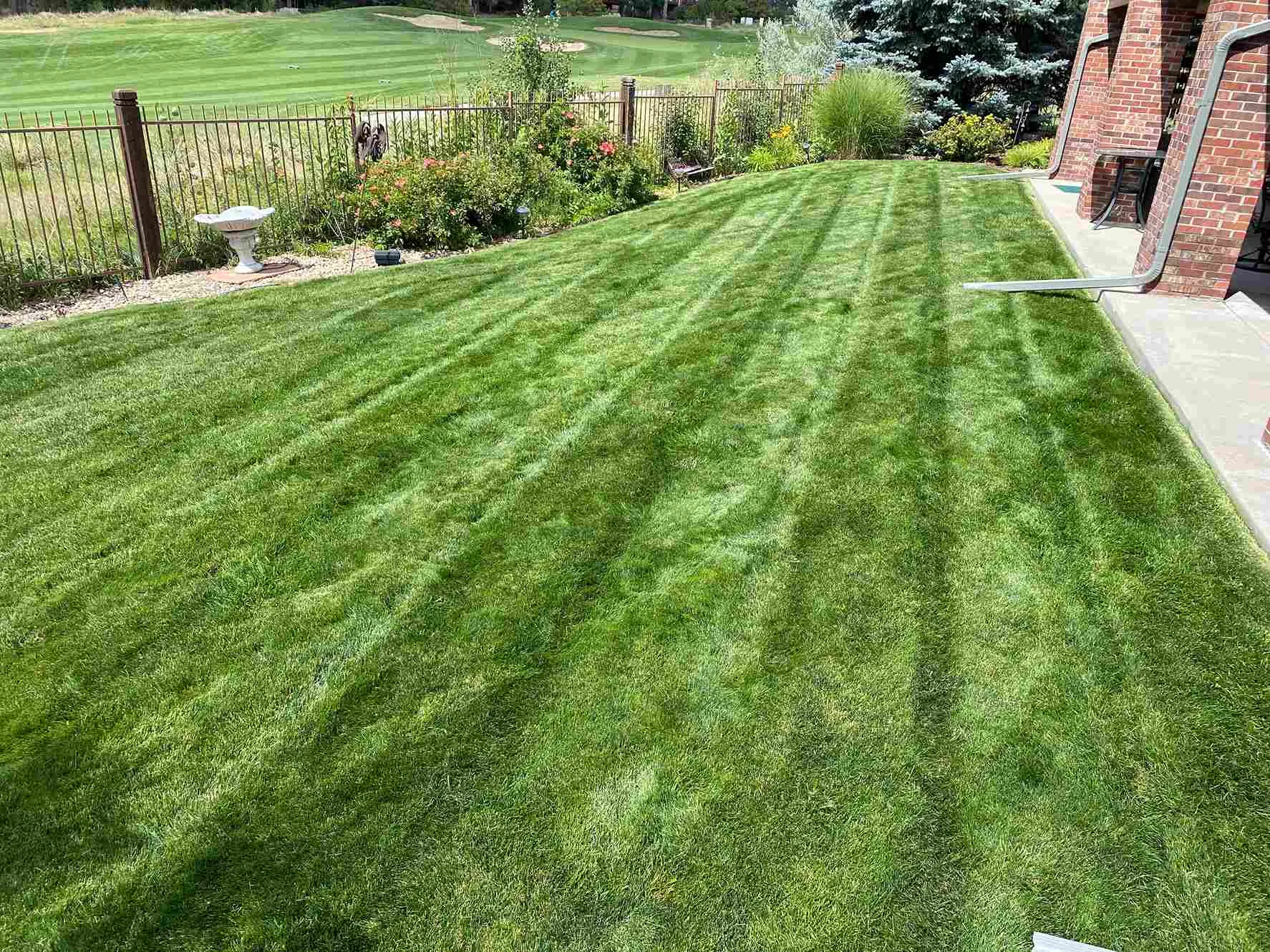 Fresh-cut yard