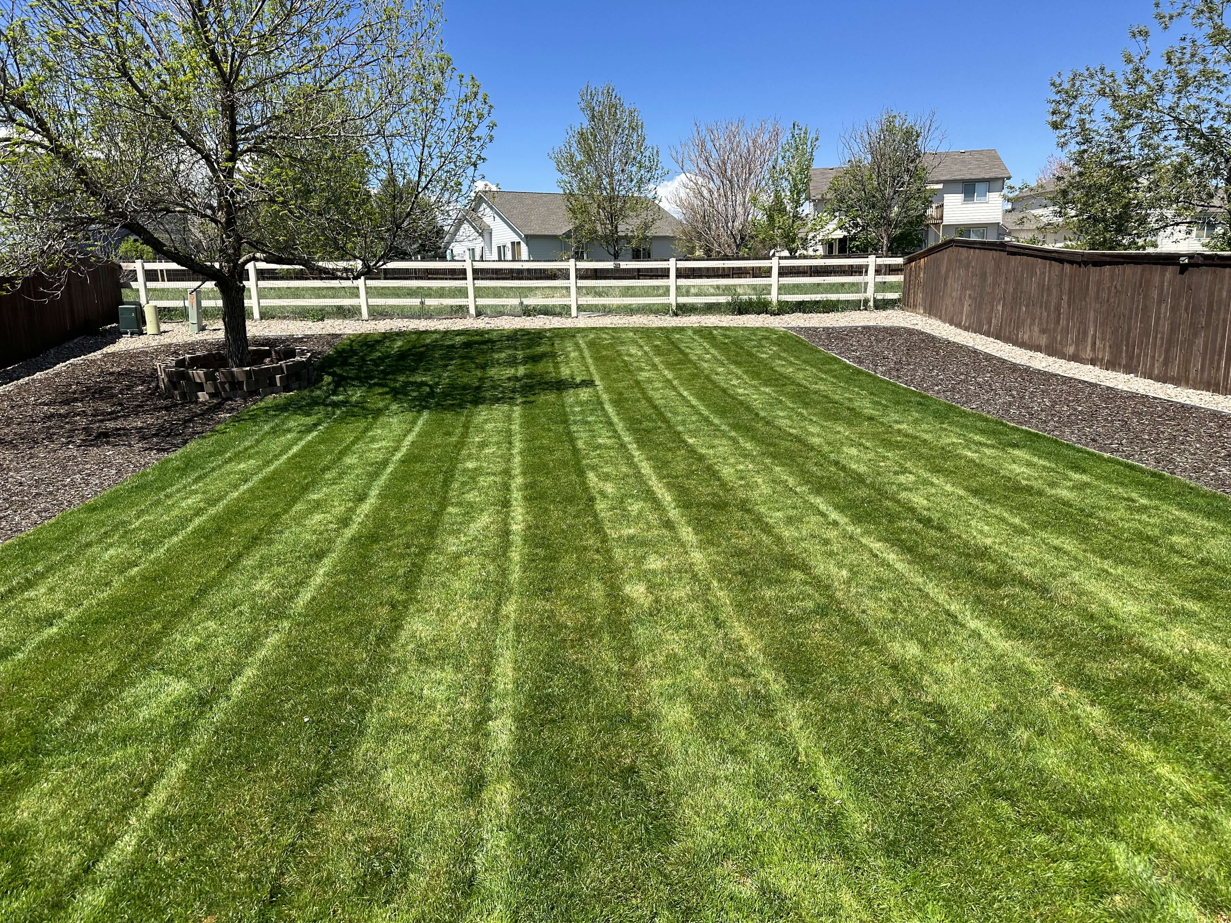 Best Lawn Care in Aurora, Colorado: What to Look For in 2026