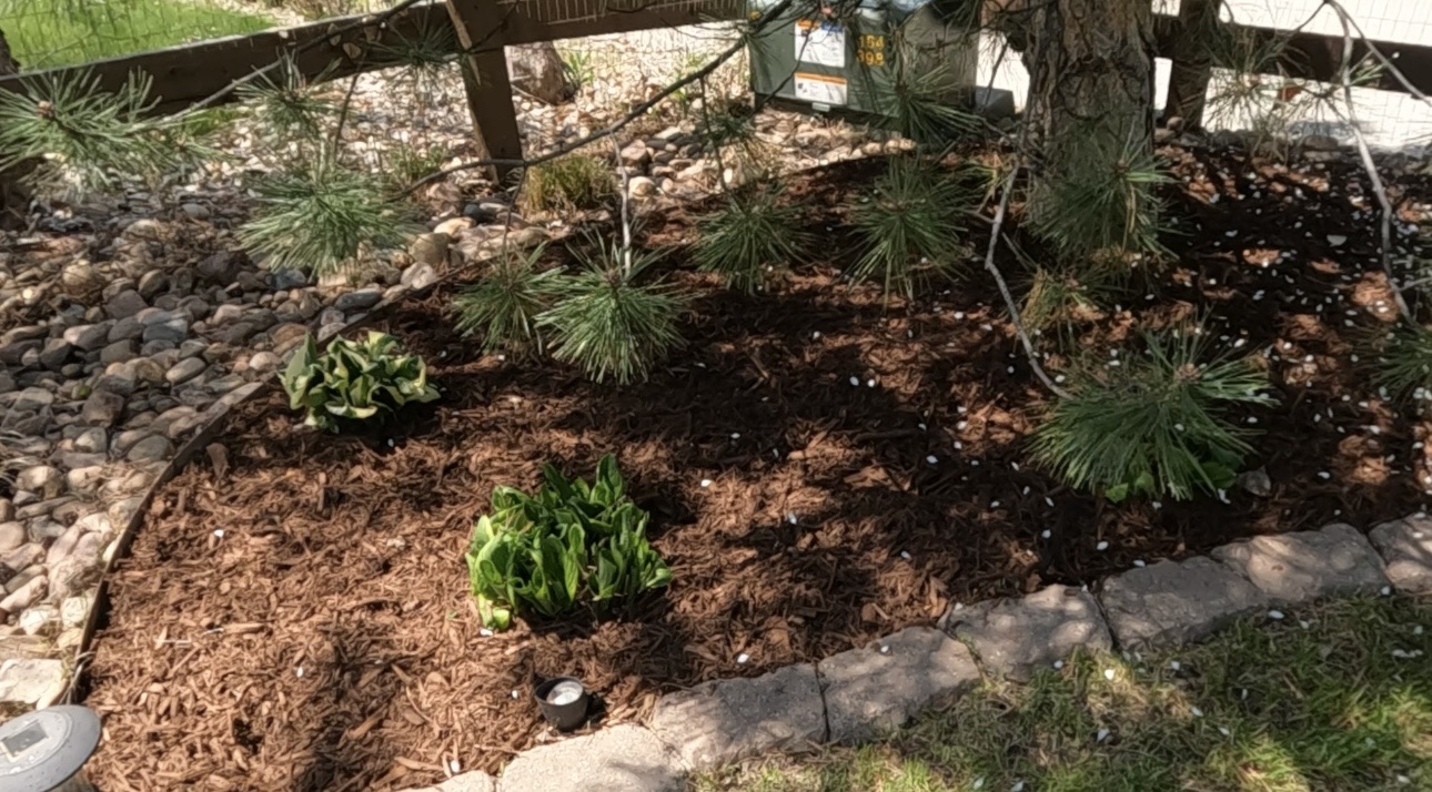 Garden bed with fresh mulch
