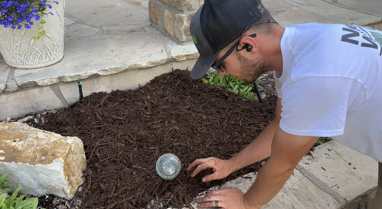 Fresh mulch in flower bed