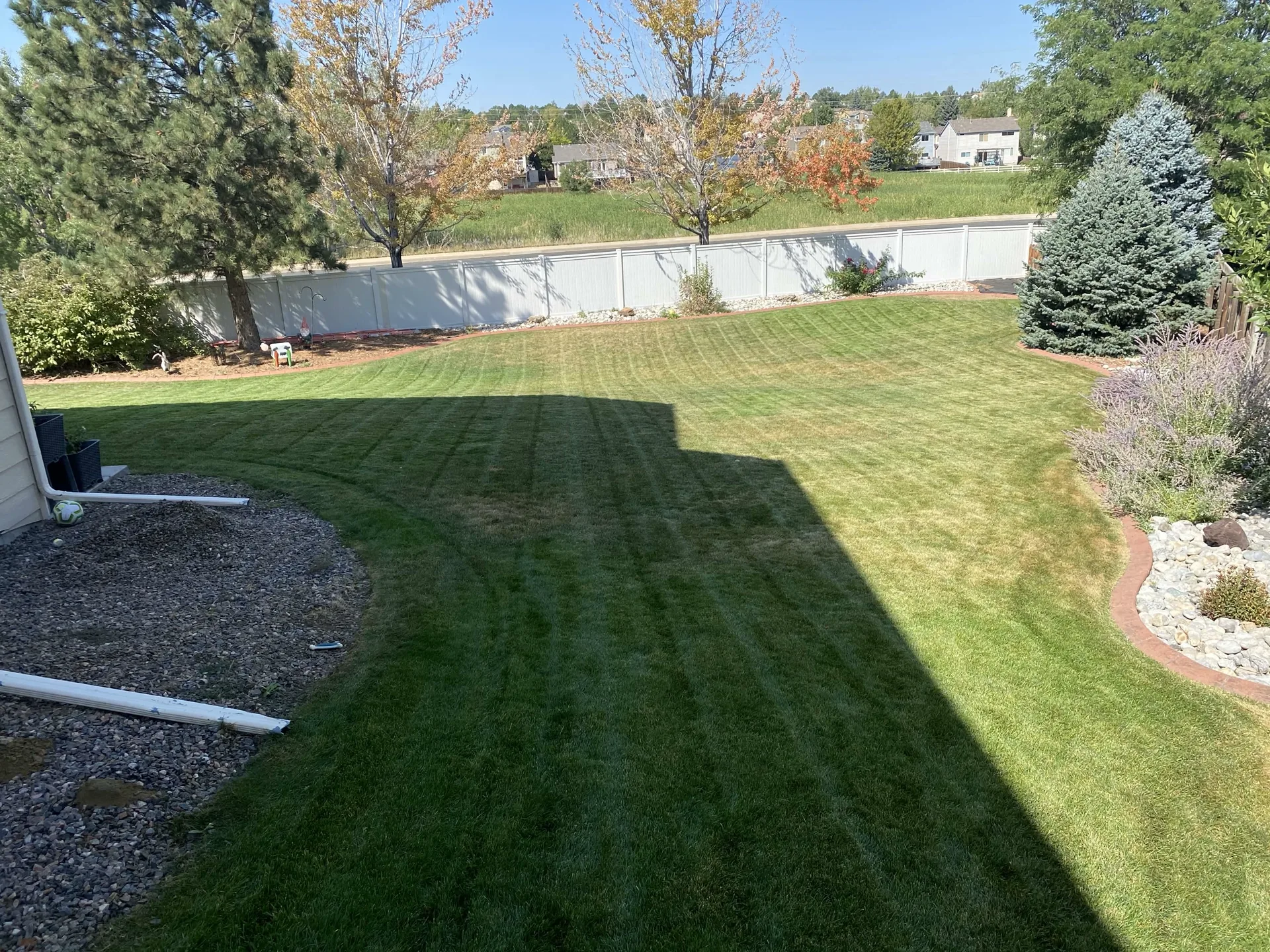 Fall backyard mow
