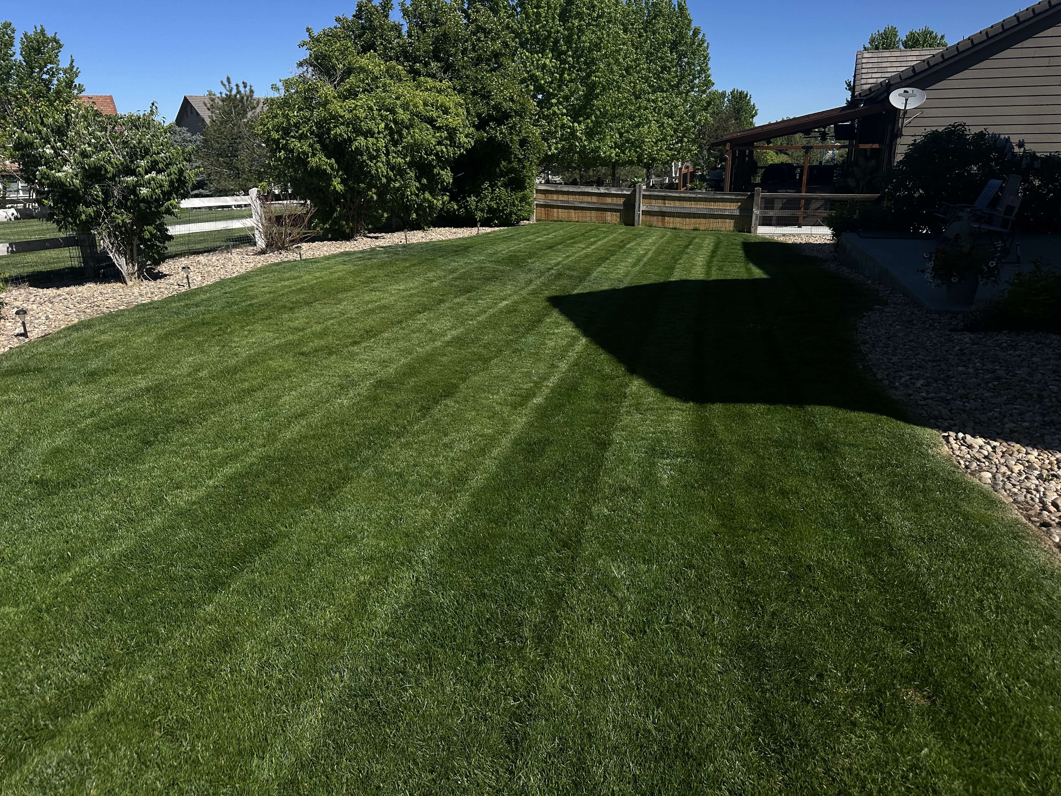 Backyard mowing stripes