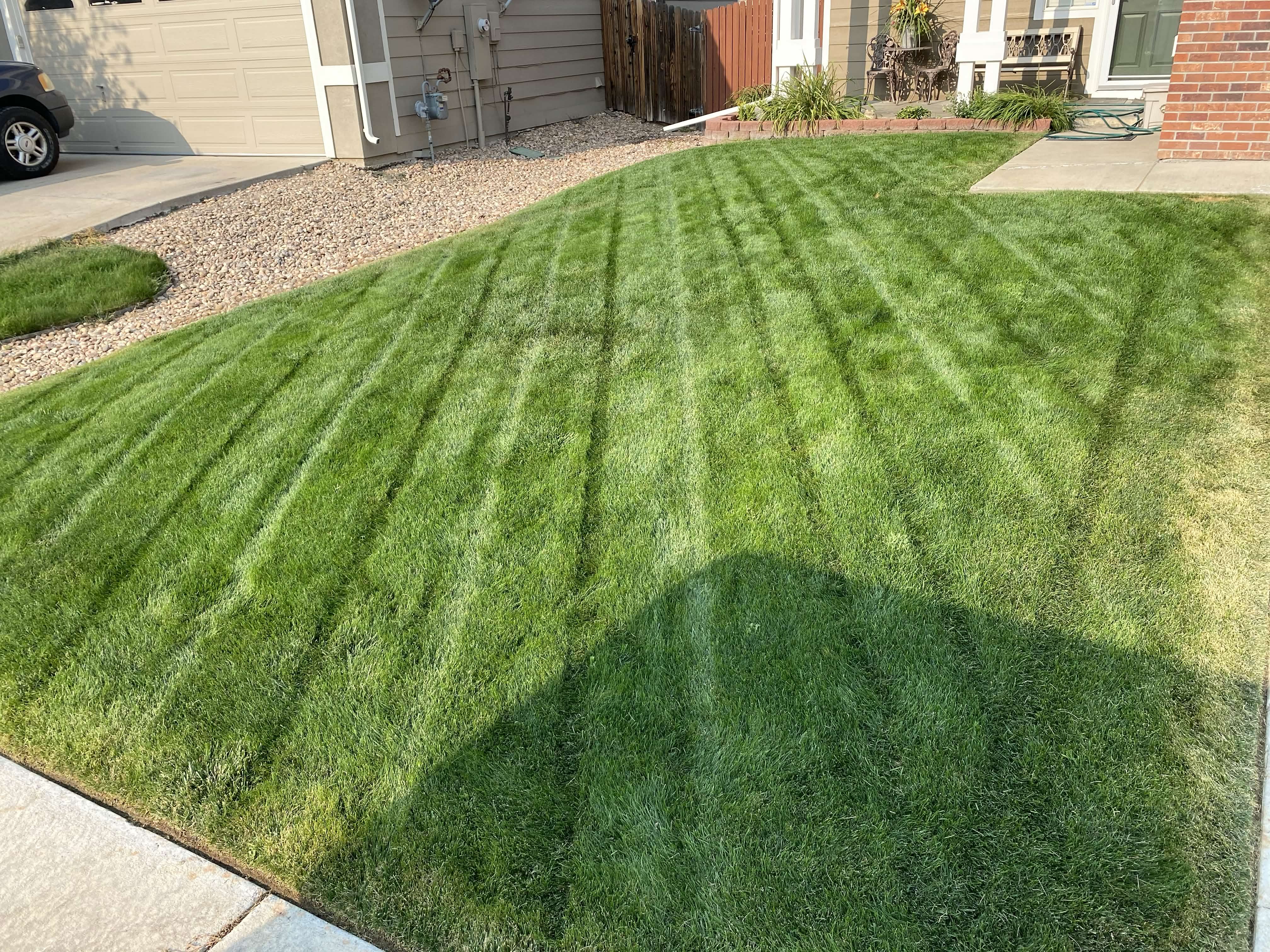 Front yard mow stripes