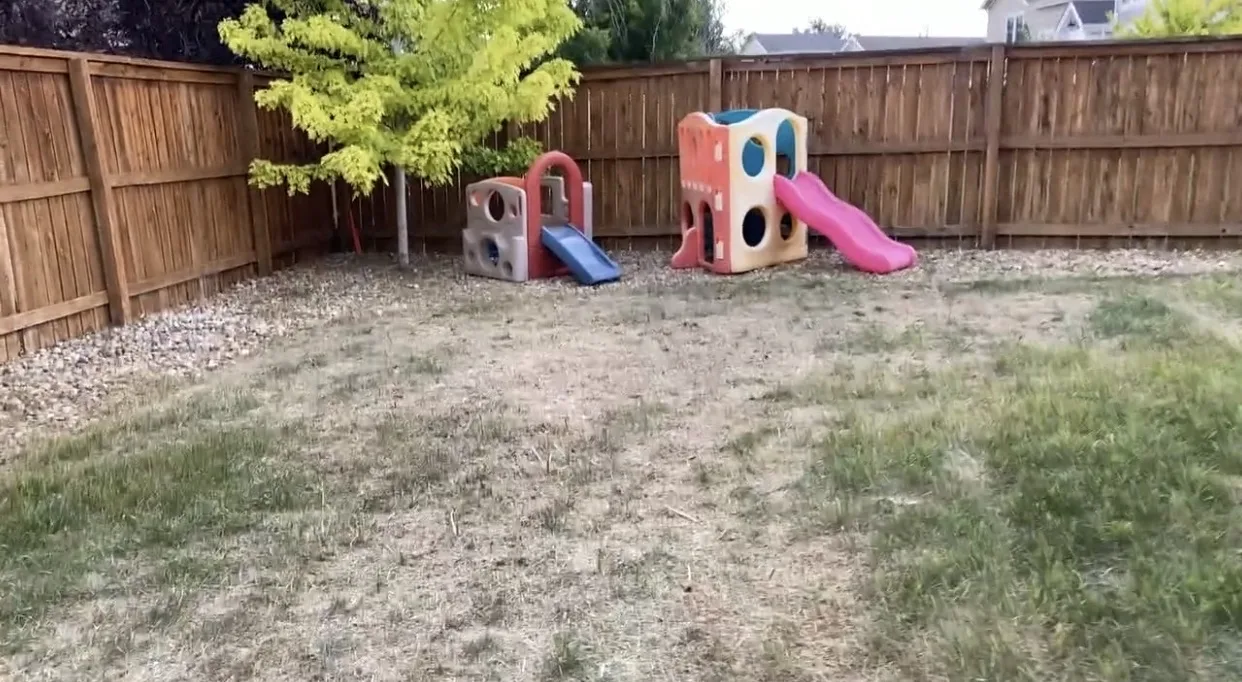 Garden bed after No Mow Worries cleanup